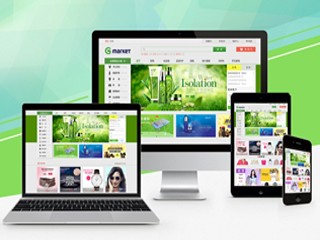 企業(yè)雙版本電腦版+手機(jī)版效果圖設(shè)計(jì)普通版